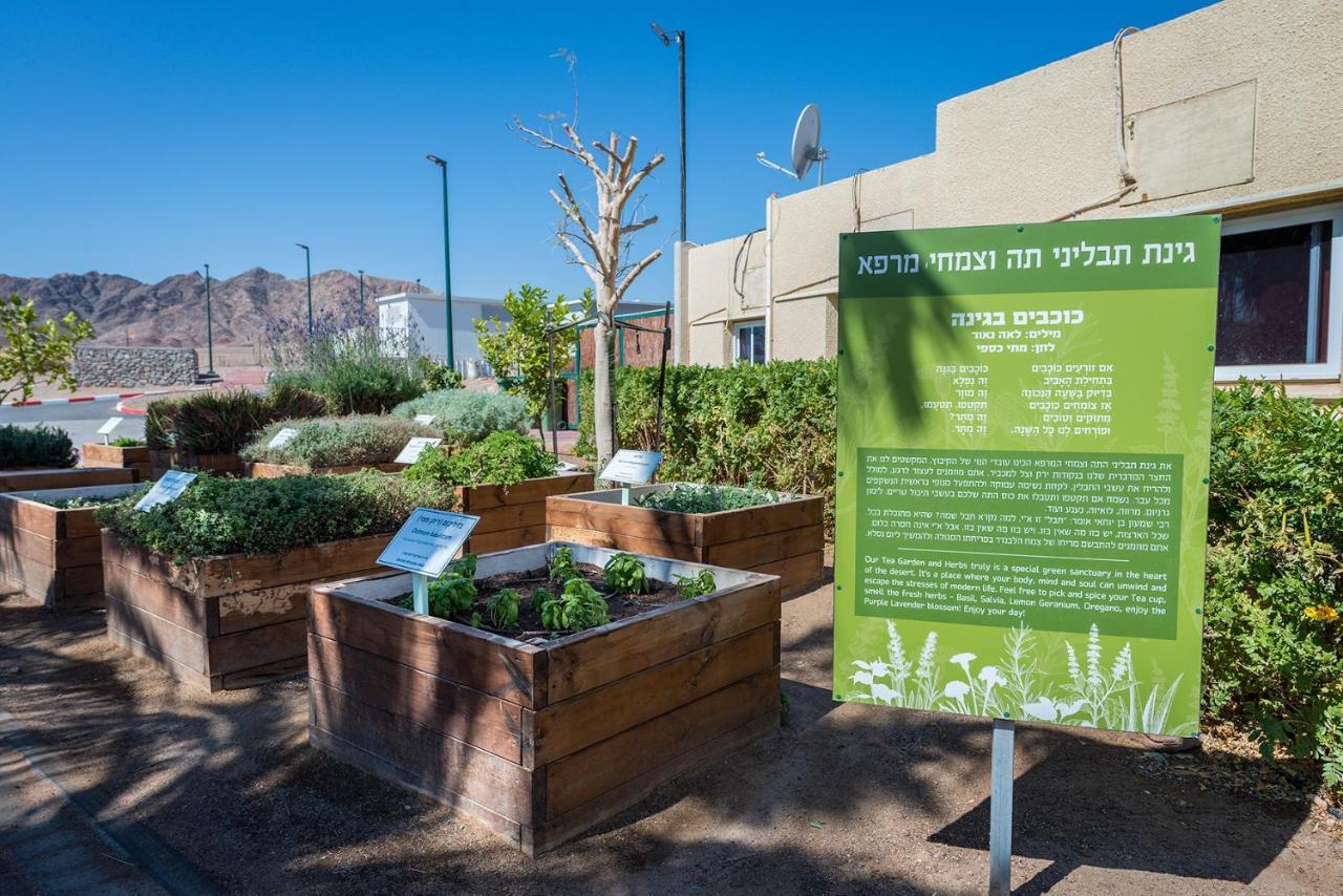 Eilot Kibbutz Country Lodging Eilat Buitenkant foto